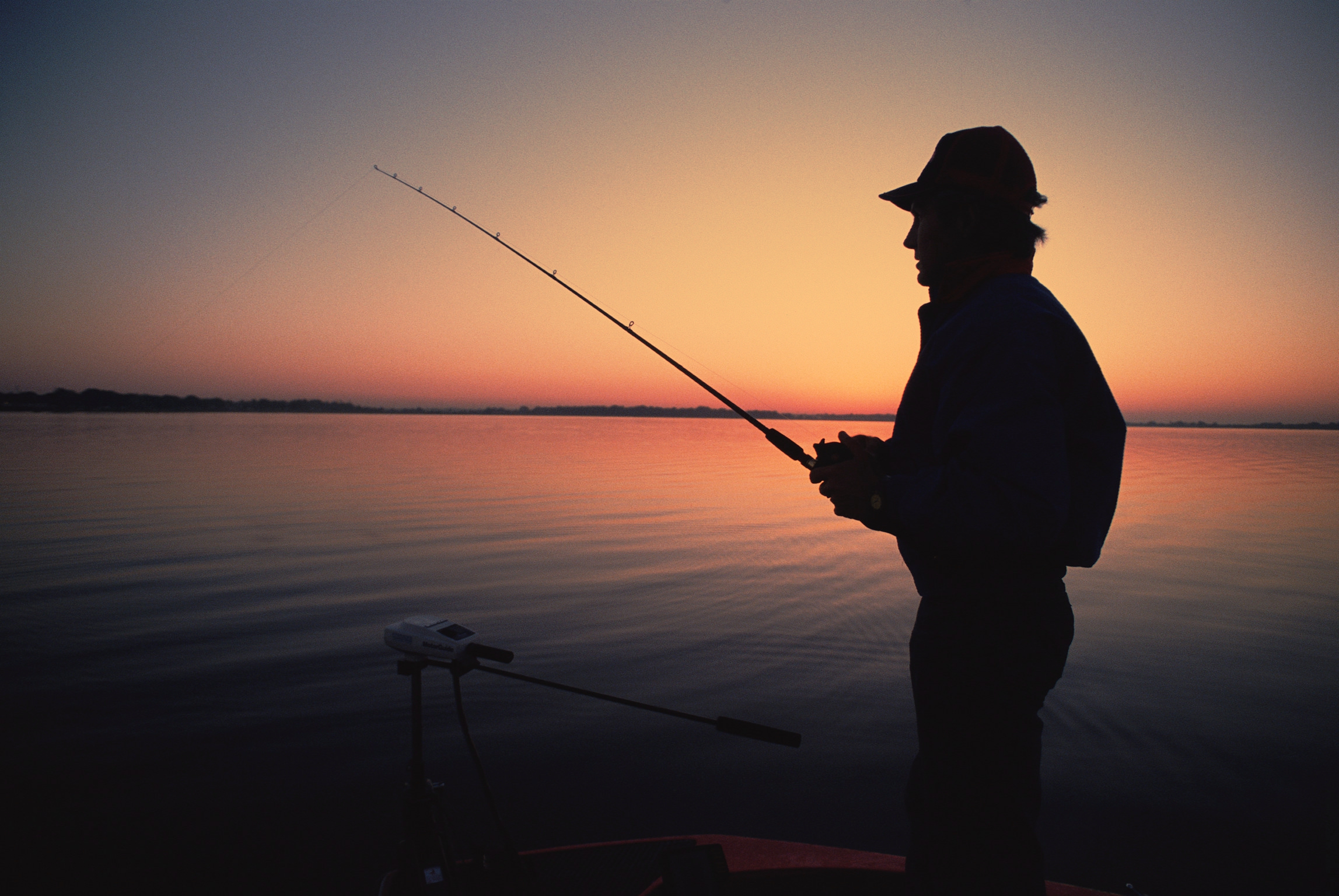 高性价比鱼竿大集合，十大名牌排名直观呈现！