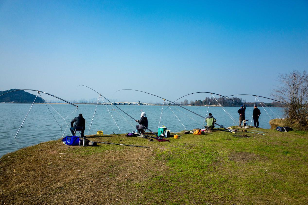 2米7鱼竿黄金钩号搭配指南：从小鲫鱼到大白条，精准选钩不空军