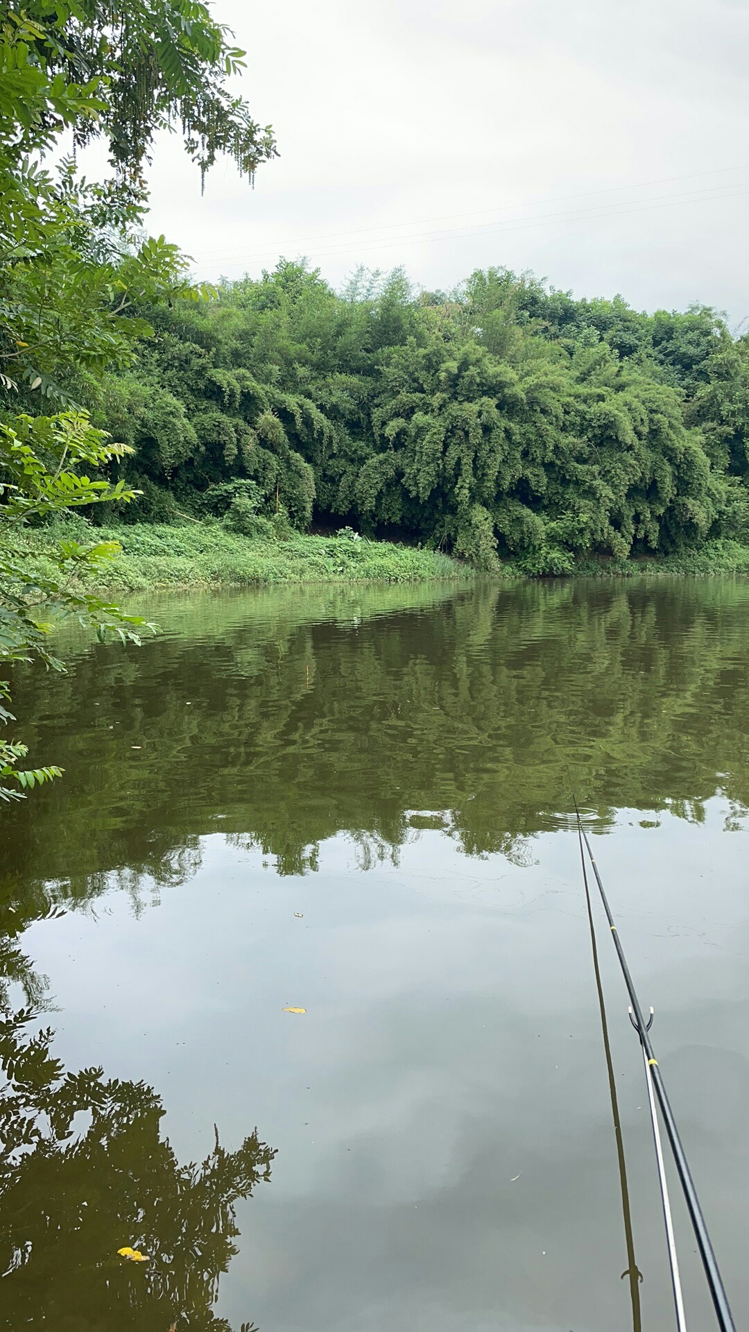 你认为野钓中最尴尬的是几米长的鱼竿？